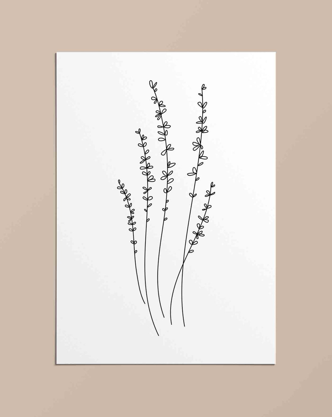 Lavender - Poster - Linewand